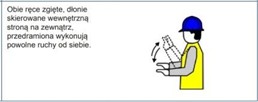 Ikona